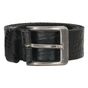 Hide & Stitches Frisco Riem