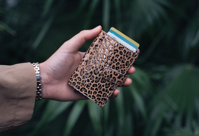 Charm London Riverside Creditcard case