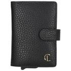 Charm London Washington Creditcard case