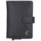 Charm London Washington Creditcard case