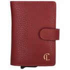 Charm London Washington Creditcard case