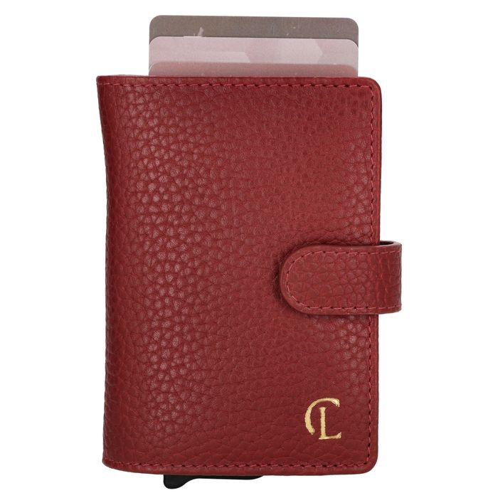 Charm London Washington Creditcard case