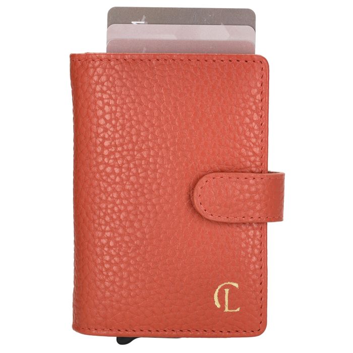 Charm London Washington Creditcard case
