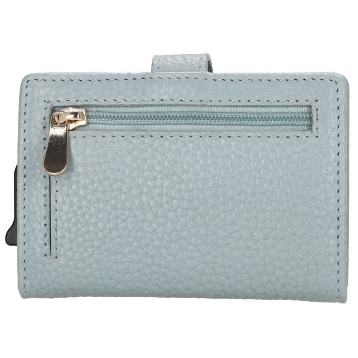 Charm London Washington Creditcard case