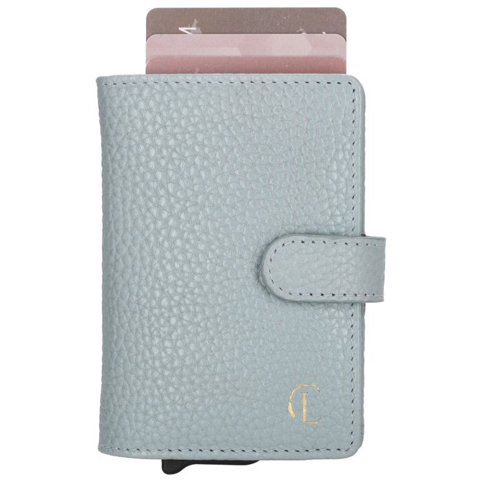 Charm London Washington Creditcard case