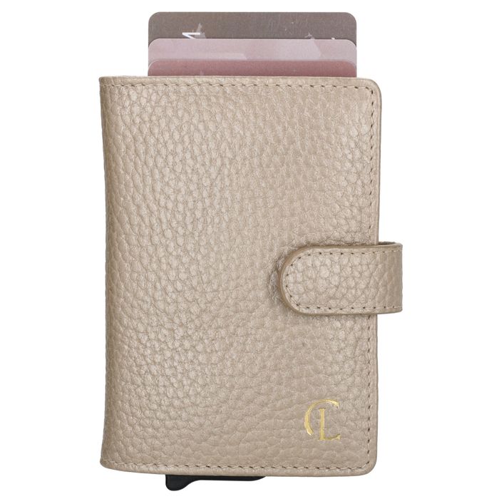Charm London Washington Creditcard case