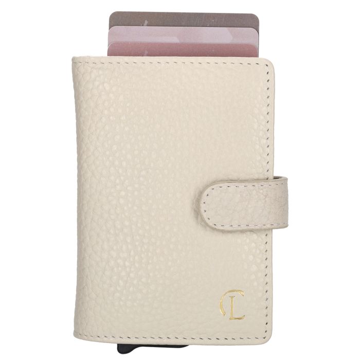 Charm London Washington Creditcard case
