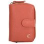 Charm London Washington Creditcard case