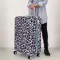 Zebra Trends Travel Koffer 20-24-28 Inch