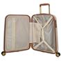 Charm London Capetown Suitcase 20 Inch