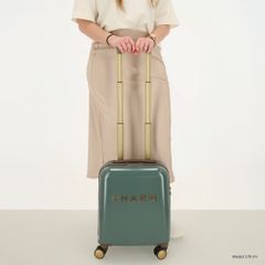 Charm London Capetown Suitcase