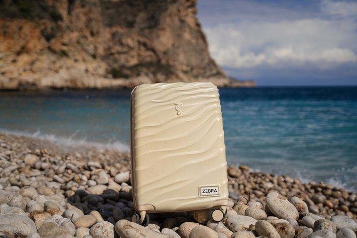 Zebra Trends Sandy Koffer 20 Inch