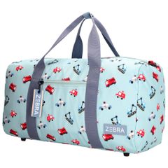 Zebra Trends Explorer Reistas