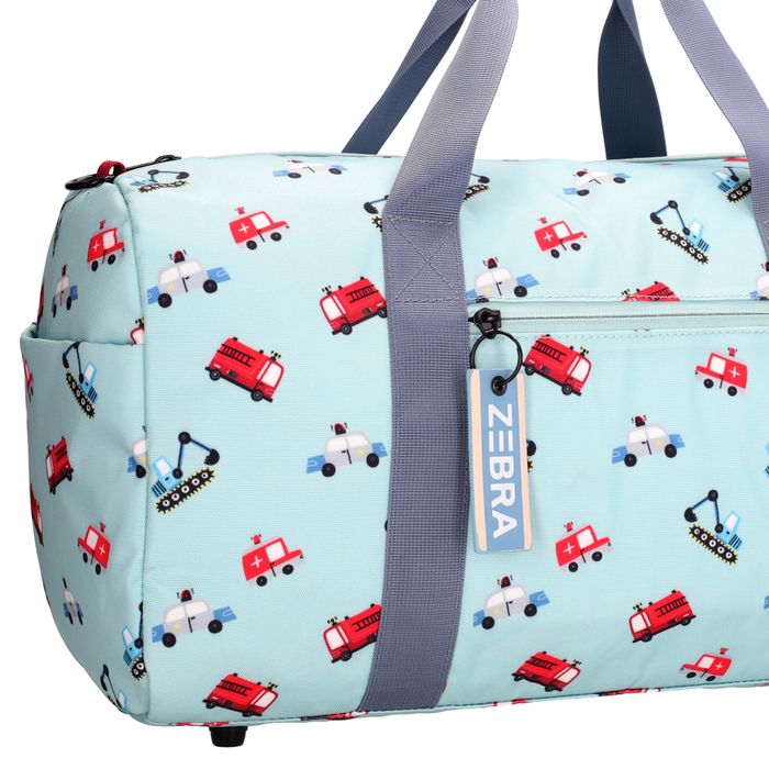 Zebra Trends Explorer Reistas