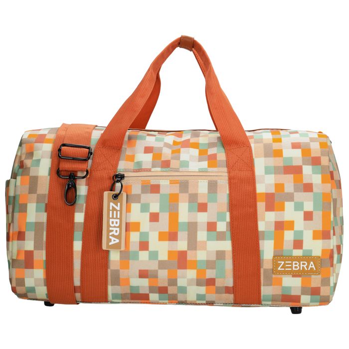 Zebra Trends Explorer Reistas