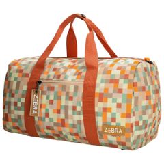 Zebra Trends Explorer Reistas