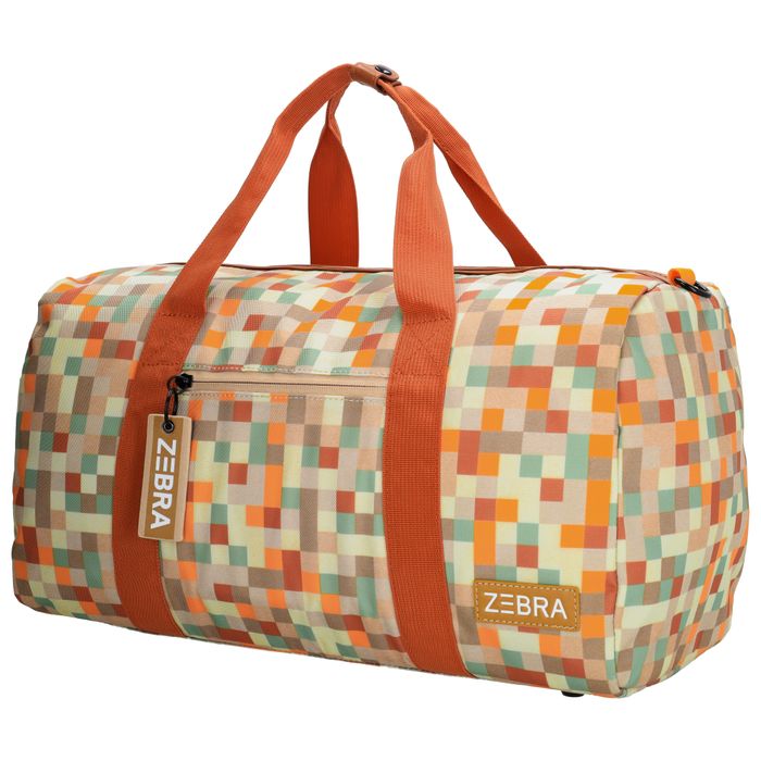 Zebra Trends Explorer Reistas