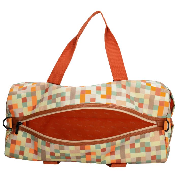 Zebra Trends Explorer Reistas