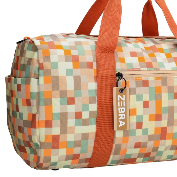 Zebra Trends Explorer Reistas