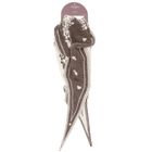 Charm London Winter Must-Haves Scarf Onesize